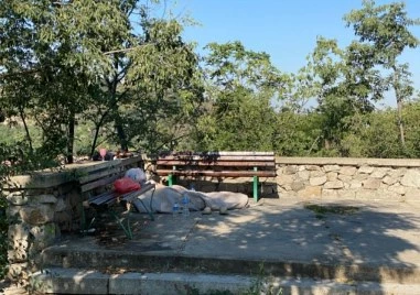 Бездомник превърна Сахат тепе в бунище