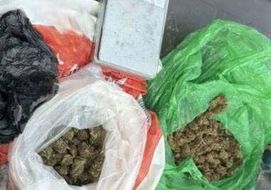 Гонка с полицията приключи с разкриването на канабисова ферма край Сопот СНИМКИ