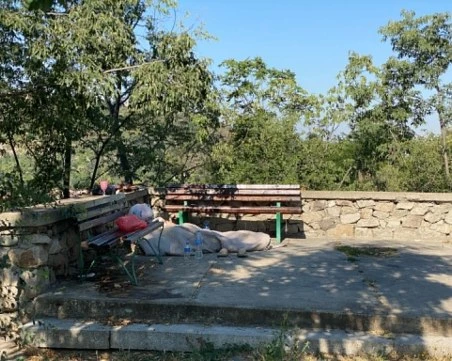 Бездомник превърна Сахат тепе в бунище
