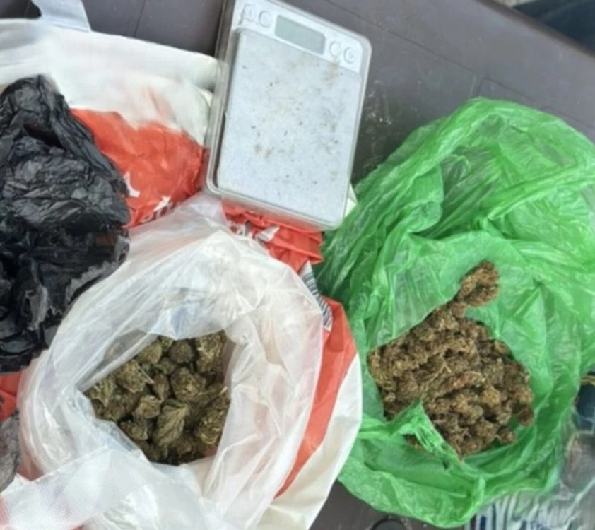 Гонка с полицията приключи с разкриването на канабисова ферма край Сопот СНИМКИ