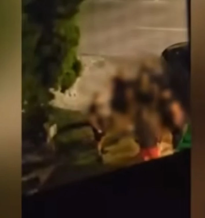 Неонацисти са нападнали хотел с италиански евреи в София ВИДЕО