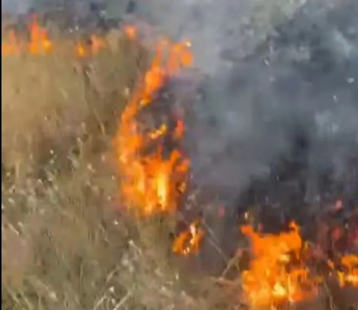 Избухна пожар край Сливница ВИДЕО