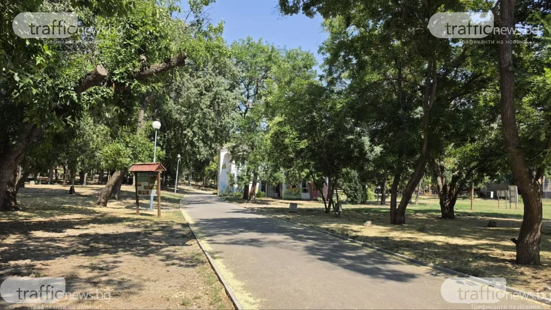 Разследват малолетни момичета, замесени в убийството на Младежки хълм