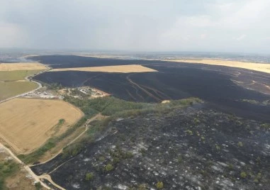 Локализираха пожара край Асеновград, засегната е площ от над 6000 декара