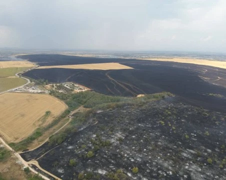Локализираха пожара в Асеновград, засегната е площ от над 6000 декара