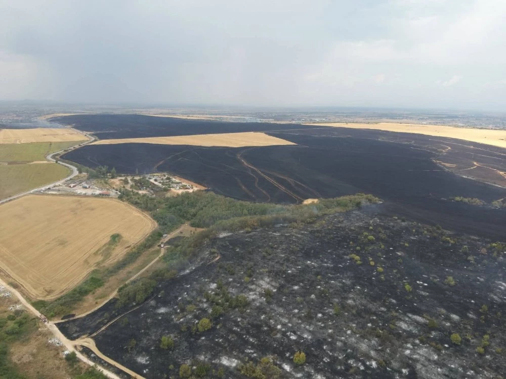 Локализираха пожара край Асеновград, засегната е площ от над 6000 декара