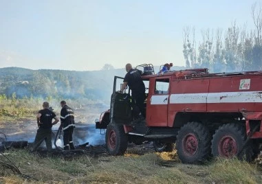 Пожар край историческата местност Петрова нива в Странджа