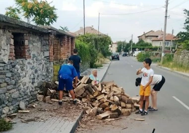 Три деца оставиха играта, за да помогнат на болна жена в пловдивско село СНИМКИ