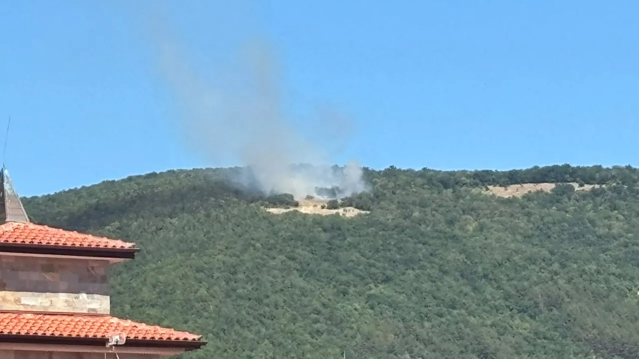 Пламна пожар в гората над Свети Влас