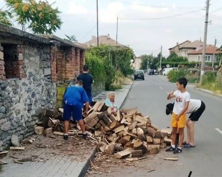 Три деца оставиха играта, за да помогнат на болна жена в пловдивско село СНИМКИ