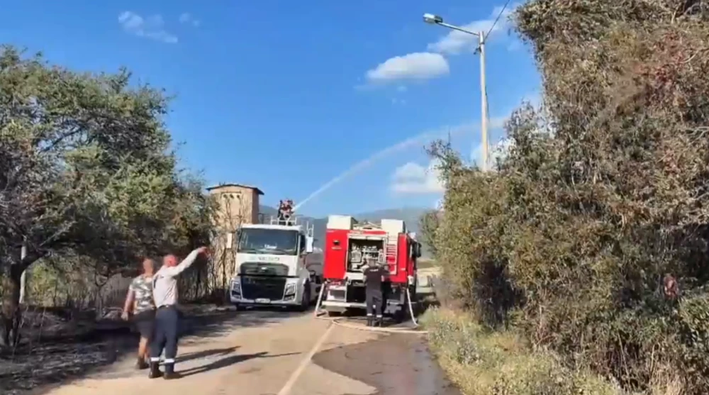 Шест постройки са вече засегнати от пожара край Дъбрава