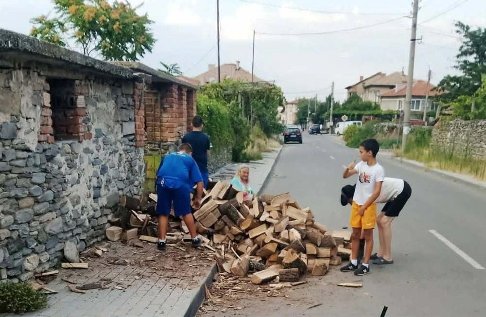 Три деца оставиха играта, за да помогнат на болна жена в пловдивско село СНИМКИ