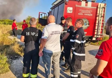 Локализиран е пожарът в Пазарджишко, 10 пожарни са на терен