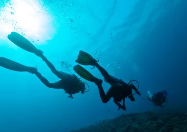 Румънски водолази унищожиха два дрона в района на Черно море