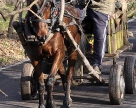 Каруцар избяга от полицията край Пловдив, оказа и съпротива при ареста