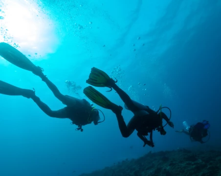 Румънски водолази унищожиха два дрона в района на Черно море