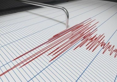 Земетресение с магнитуд 5,5 край бреговете на Салвадор