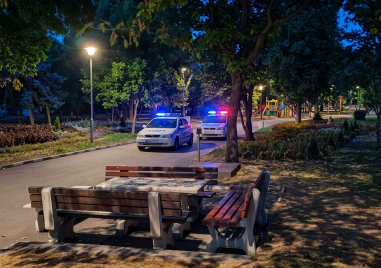 Асеновградчанин буйства в Градския парк, трошил огради и пейки
