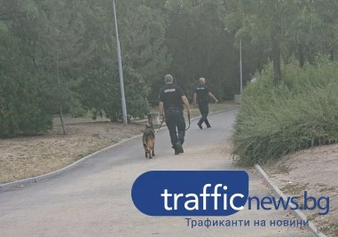 Закъсняла превенция и/или излишна поза? Полицаи с кучета обикалят Младежкия хълм