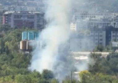 Гумени дюшеци запалиха пожар в софийски парк