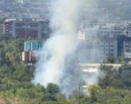 Гумени дюшеци запалиха пожар в софийски парк