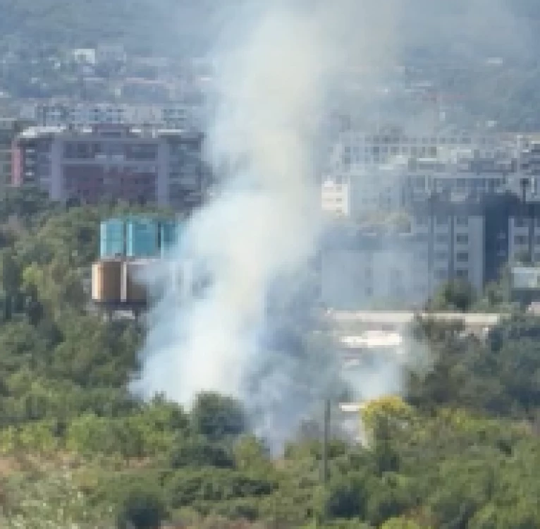 Гумени дюшеци запалиха пожар в софийски парк