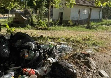 Боклуци и следи от огън край вековните чинари в Долнослав СНИМКИ