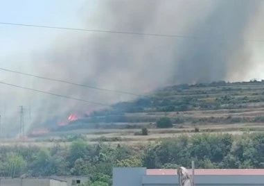 Нов пожар край Асеновград, огромен облак дим се издига над града СНИМКИ+ВИДЕО