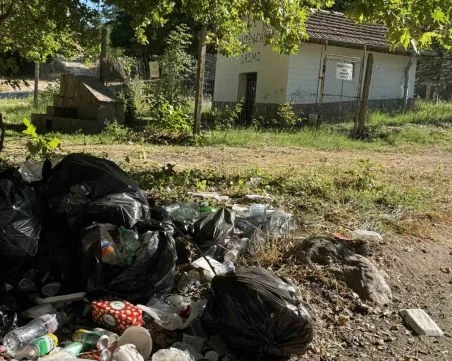 Боклуци и следи от огън край вековните чинари в Долнослав СНИМКИ