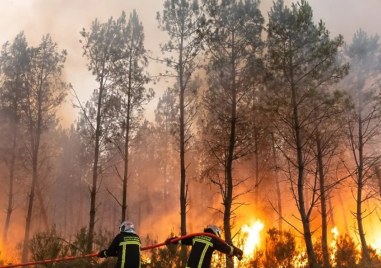 Овладяха най-големия пожар в Белгия за последните 100 години