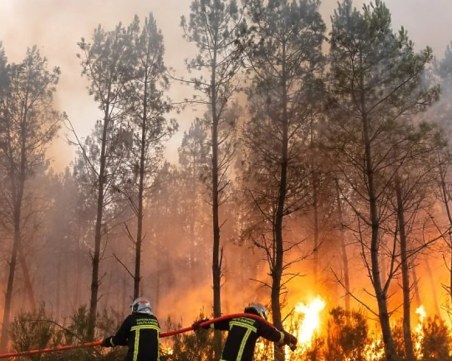 Овладяха най-големия пожар в Белгия за последните 100 години