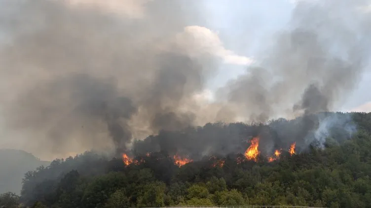 Евакуират село в Сърбия заради огромен горски пожар