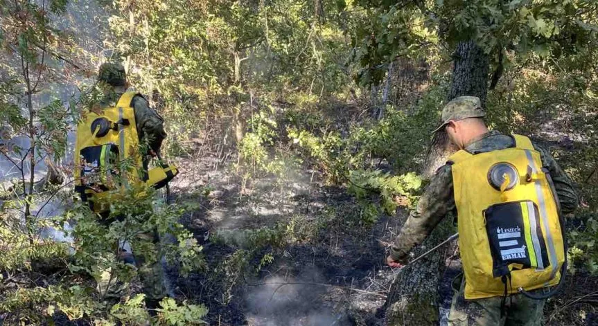 Пожарникари, военни и хеликоптер овладяха огъня в Котелско