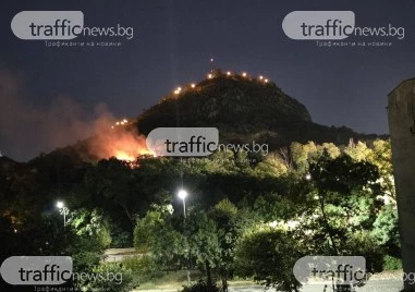 Пожар пламна на Младежкия хълм в Пловдив ВИДЕО