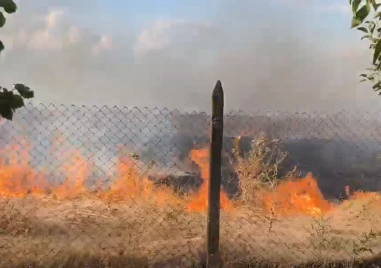 Гръм запали пожар край Пловдив ВИДЕО