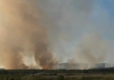60 пожарникари все още потушават пожара край Хасково