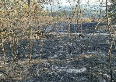 Обявиха частично бедствено положение в Хасковско