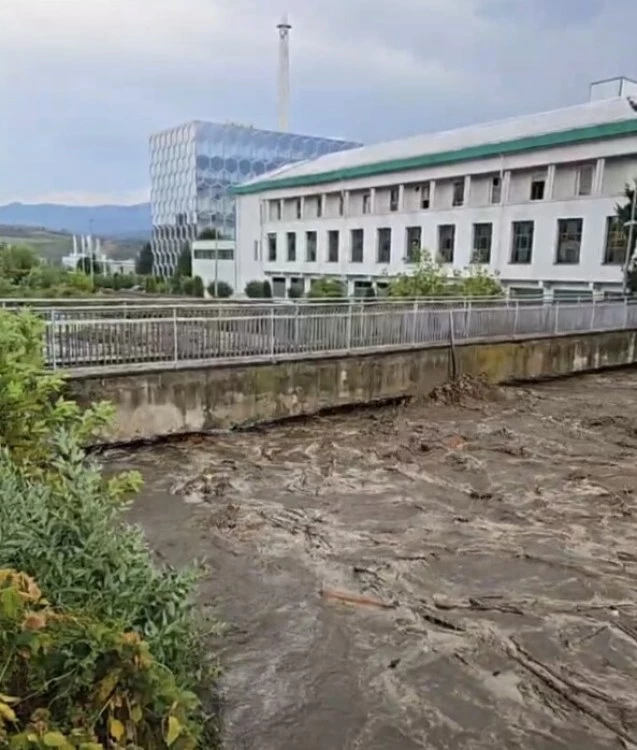 Паднали дървета заради бурята затвориха пътя Пещера-Батак, Стара река придойде СНИМКИ