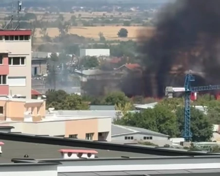 Нов пожар избухна край Асеновград, гъст черен дим се носи над града СНИМКИ+ВИДЕО