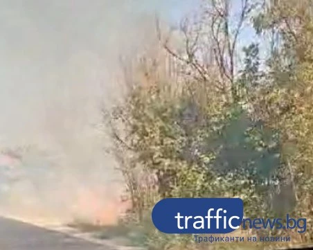 Пожар край изхода на Пловдив, движението към Пазарджик се пренасочва