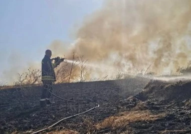 Потушиха пожара в Орешник, застигнал и къщи -  земеделци и доброволци също помогнаха