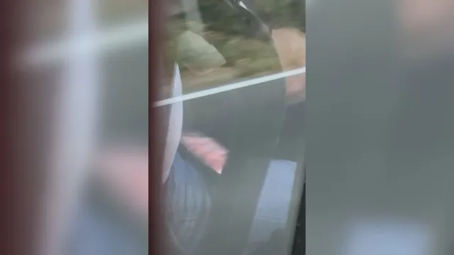 Спипаха шофьор на автобус да гледа порно зад волана