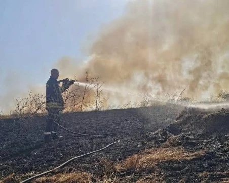 Потушиха пожара в Орешник, застигнал и къщи -  земеделци и доброволци също помогнаха