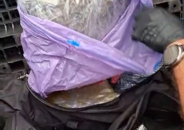 Гранична полиция спря стотици килограми кокаин и марихуана при Бургас