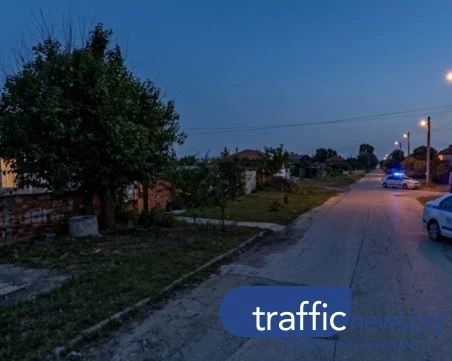 Екшън в пловдивско село: Двама младежи пребиха мъж, 17-годишен го налага с дървен клон