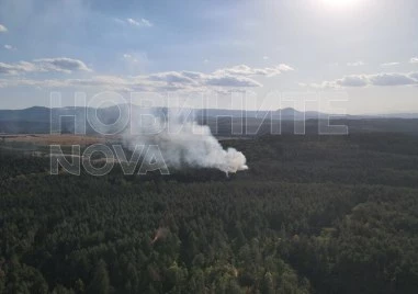 Голям пожар край язовир Копринка