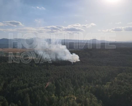 Голям пожар край язовир Копринка