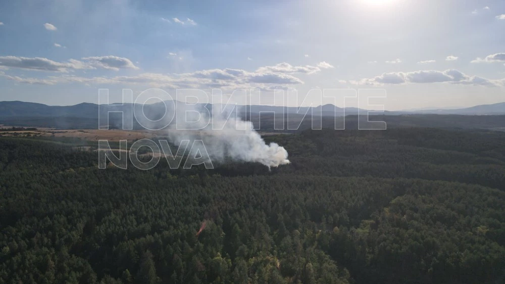 Голям пожар край язовир Копринка