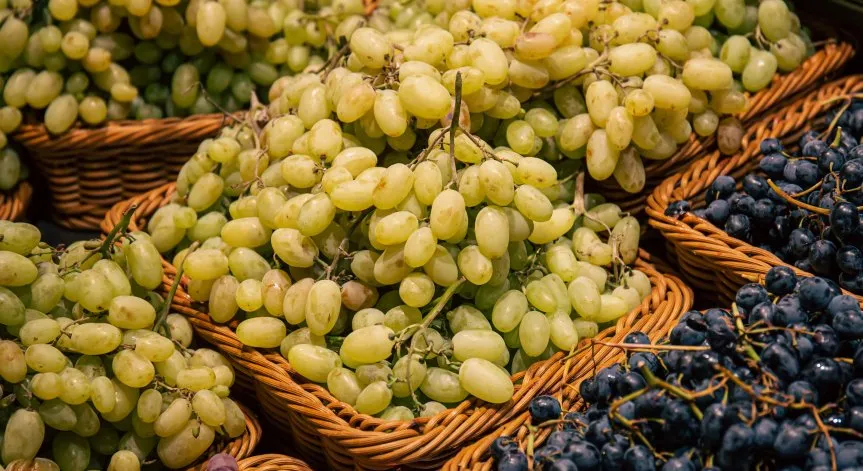 Установиха пестициди в 28 тона грозде и чушки от Турция и РСМ