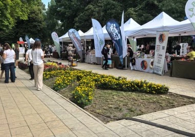 Със зелени идеи, забавления и благородна кауза Re:Bazaar отново завладя район „Южен